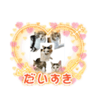 ミケ子と仲間たち（個別スタンプ：34）