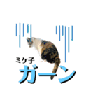 ミケ子と仲間たち（個別スタンプ：38）