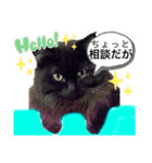 黒猫 ルナ院長148にゃんめ（個別スタンプ：1）