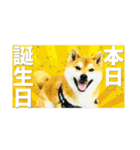 シバーズ隊（個別スタンプ：27）
