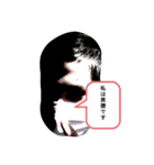 evil ni❍ger boy（個別スタンプ：10）