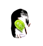 evil ni❍ger boy（個別スタンプ：15）