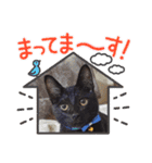 黒猫の颯汰スタンプ（個別スタンプ：4）