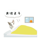 うちの娘 みぃ・もも（個別スタンプ：1）