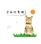 うちの娘 みぃ・もも（個別スタンプ：2）