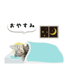うちの娘 みぃ・もも（個別スタンプ：4）