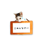 うちの娘 みぃ・もも（個別スタンプ：7）