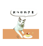 うちの娘 みぃ・もも（個別スタンプ：8）