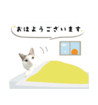 うちの娘 みぃ・もも（個別スタンプ：9）