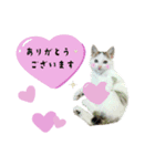うちの娘 みぃ・もも（個別スタンプ：14）