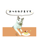 うちの娘 みぃ・もも（個別スタンプ：16）