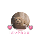 ぷーたん6歳（個別スタンプ：11）