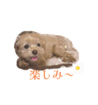 ぷーたん6歳（個別スタンプ：13）