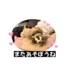 ぷーたん6歳（個別スタンプ：14）