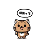 猫のかわいいスタンプ3（個別スタンプ：1）