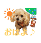 ⭐︎ジョリー＆ピコ＆メリー＆マリー⭐︎（個別スタンプ：1）