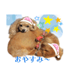 ⭐︎ジョリー＆ピコ＆メリー＆マリー⭐︎（個別スタンプ：3）