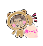 ⭐︎ジョリー＆ピコ＆メリー＆マリー⭐︎（個別スタンプ：10）