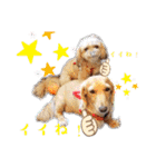 ⭐︎ジョリー＆ピコ＆メリー＆マリー⭐︎（個別スタンプ：14）