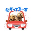 ⭐︎ジョリー＆ピコ＆メリー＆マリー⭐︎（個別スタンプ：23）