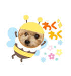 ⭐︎ジョリー＆ピコ＆メリー＆マリー⭐︎（個別スタンプ：25）