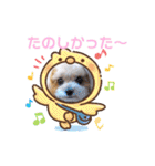 ⭐︎ジョリー＆ピコ＆メリー＆マリー⭐︎（個別スタンプ：26）