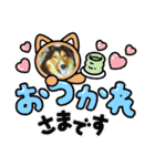 ⭐︎ジョリー＆ピコ＆メリー＆マリー⭐︎（個別スタンプ：27）