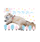 ⭐︎ジョリー＆ピコ＆メリー＆マリー⭐︎（個別スタンプ：28）