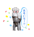 ⭐︎ジョリー＆ピコ＆メリー＆マリー⭐︎（個別スタンプ：30）