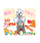 ⭐︎ジョリー＆ピコ＆メリー＆マリー⭐︎（個別スタンプ：40）