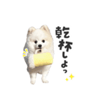 もふもふ！ぺろちゃんの日常♪（個別スタンプ：8）