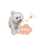 はるちゃん_202405（個別スタンプ：4）