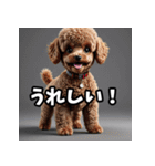 かわいいトイプードルと悲しいトイプードル（個別スタンプ：13）