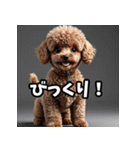 かわいいトイプードルと悲しいトイプードル（個別スタンプ：14）