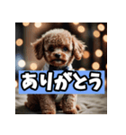かわいいトイプードルと悲しいトイプードル（個別スタンプ：38）