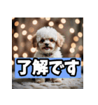 かわいいトイプードルと悲しいトイプードル（個別スタンプ：39）