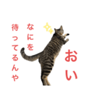 ネオ・ザ・タロウ2（個別スタンプ：4）