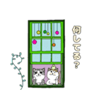 猫兄弟の基本的日常スタンプ（個別スタンプ：11）