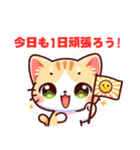 かわいいねこの日常だよ（個別スタンプ：2）