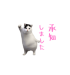 動く！躍る猫ミーム(パート12)（個別スタンプ：17）