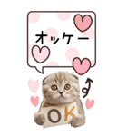 英語と日本語♡ねこさん（個別スタンプ：1）