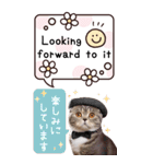 英語と日本語♡ねこさん（個別スタンプ：22）