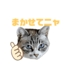 COCO TAKEMOTO（個別スタンプ：2）
