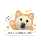 おらふ♡りろ♡びび♡すいか（個別スタンプ：10）