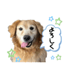 おらふ♡りろ♡びび♡すいか（個別スタンプ：11）