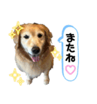 おらふ♡りろ♡びび♡すいか（個別スタンプ：24）