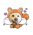おらふ♡りろ♡びび♡すいか（個別スタンプ：27）
