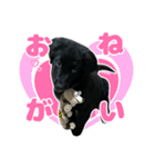 ニールシール 2（個別スタンプ：4）