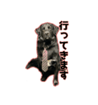 ニールシール 2（個別スタンプ：10）