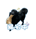 ニールシール 2（個別スタンプ：14）